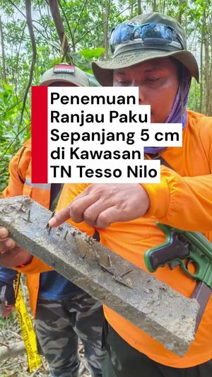 Video Kronologi Penemuan Ranjau Paku di Kawasan TN Tesso Nilo