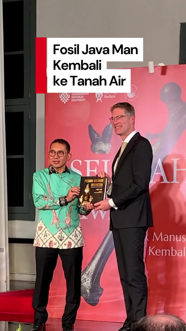 Video: Indonesia Berhasil Pulangkan Fosil Java Man dari Belanda