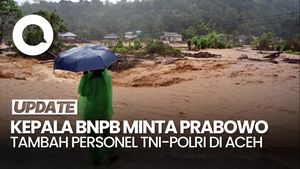 Video: Kepala BNPB Lapor ke Prabowo Minta Tambahan Personel TNI-Polri di Aceh