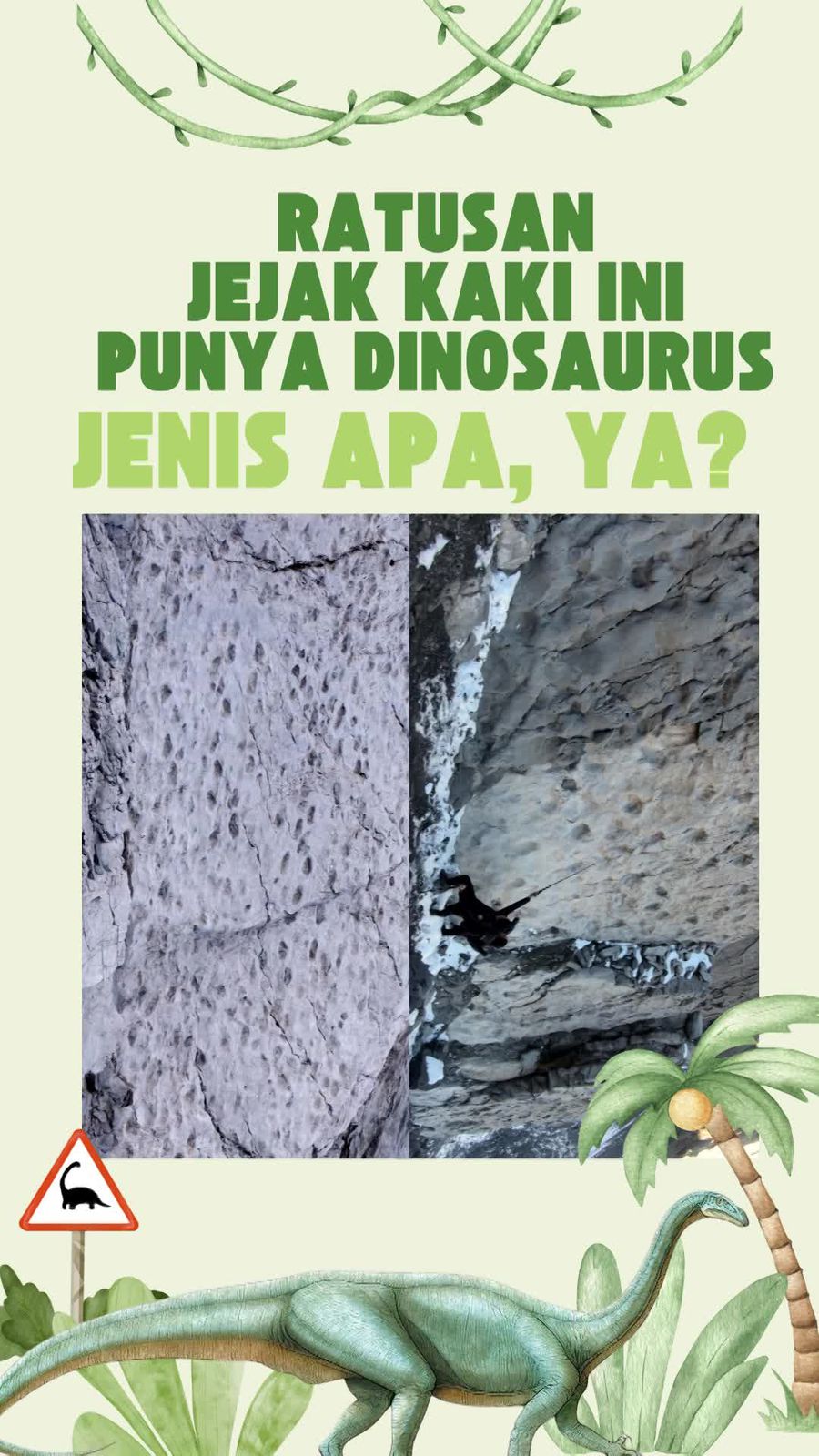 Video: Penampakan Ratusan Jejak Kaki Dinosaurus di Italia