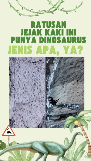 Video: Penampakan Ratusan Jejak Kaki Dinosaurus di Italia