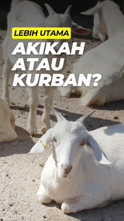 Video: Boleh Kurban Dulu Padahal Belum Akikah?