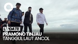 Video: Tinjau Tanggul Laut Ancol, Pramono Targetkan Rampung 2029