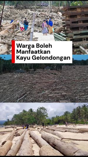 Video Pemerintah Izinkan Warga Gunakan Kayu Gelondongan Pascabanjir Sumatera