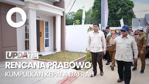 Video: Prabowo Mau Kumpulkan Kepala Daerah Seusai Tahun Baru, Bahas Apa?