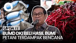 Video: Pramono Instruksikan BUMD DKI Beli Beras-Cabai Petani Terdampak Bencana