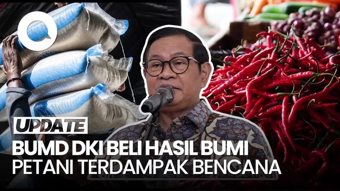 Video: Pramono Instruksikan BUMD DKI Beli Beras-Cabai Petani Terdampak Bencana