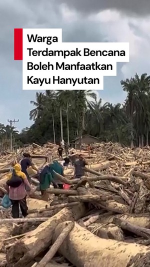 Kemenhut Bolehkan Warga Manfaatkan Kayu yang Terseret Banjir di Sumatera