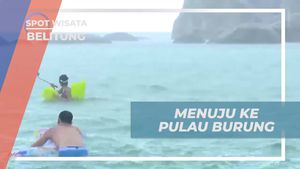 Melanjutkan Perjalanan ke Pulau Burung dari Pulau Babi, Belitung