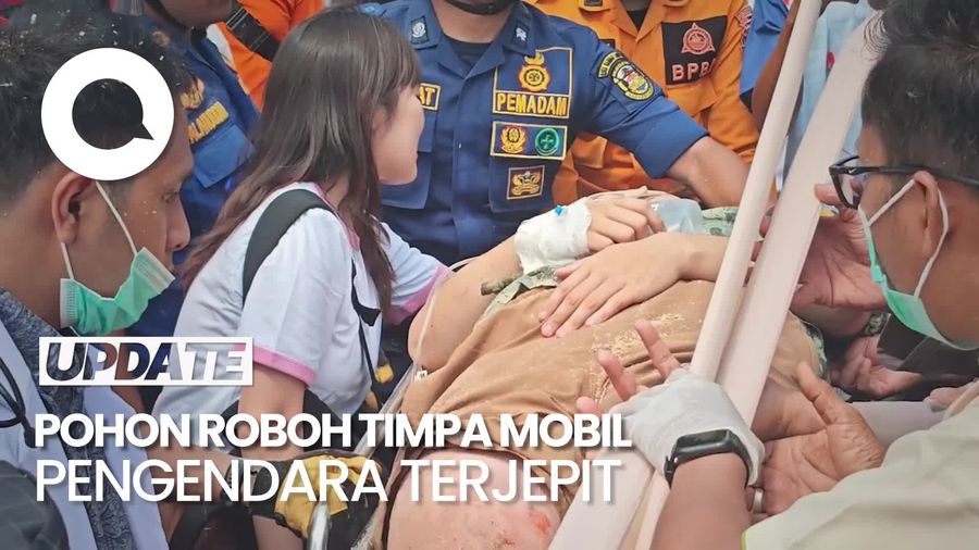 Video Pohon Besar Roboh Timpa Mobil di Lampung, Pengendara Terjepit 3 jam