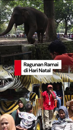 Video: Ragam Alasan Pengunjung Main ke Ragunan di Libur Nataru