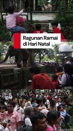 Video: Libur Natal, Ragunan Dipadati Puluhan Ribu Pengunjung