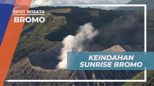 Menyaksikan Keindahan Sunrise di Bromo, Jawa Timur
