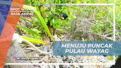 Mencapai Puncak Pulau Wayag di Raja Ampat dengan Jalur Menantang