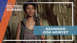 Mengunjungi Goa Monyet di Kupang, NTT