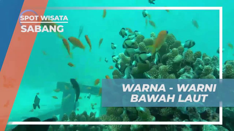 Menelusuri Keindahan Bawah Laut Pulau Rubiah di Sabang