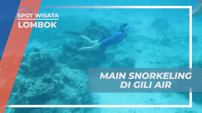 Snorkeling di Laut Jernih Gili Air, Lombok