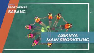 Serunya Bermain Snorkeling di Pulau Rubiah, Sabang