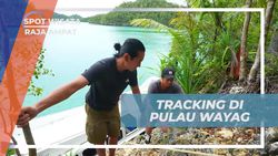 Mengeksplorasi Puncak Pulau Wayag di Raja Ampat dengan Tracking Seru