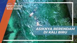 Berenang Ceria di Air Jernih Kali Biru, Raja Ampat