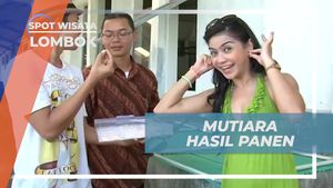 Menyaksikan Keindahan Mutiara Panen di Lombok