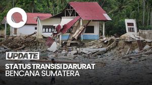 Video BNPB: 24 Daerah Terdampak Bencana Sumatera Masuk Transisi Darurat