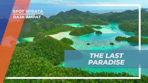 Menjelajahi Keindahan Pulau Wayag, Raja Ampat