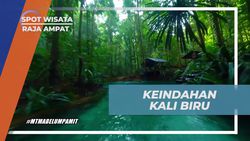 Takjub Akan Keindahan Alam di Kali Biru, Raja Ampat