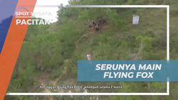 Menyaksikan Serunya Bermain Flying Fox dari Ketinggian, Pacitan