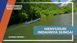 Menyusuri Keindahan Sungai di Kali Biru, Raja Ampat