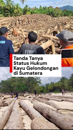 Video DPR Minta Mendagri Putuskan Status Hukum Kayu Gelondongan di Sumatera