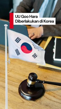 Video: Goo Hara Act akan Diterapkan di Korsel Mulai 1 Januari 2026