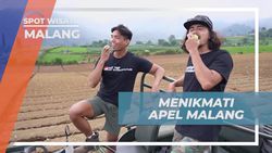 Rileks dan Nikmati Apel Segar di Kebun Coban Talun, Malang