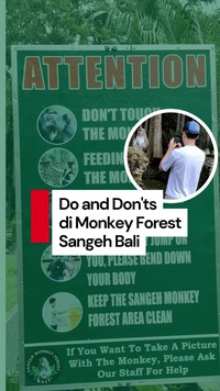 Video: Aturan yang Wajib Dipatuhi Saat Berkunjung ke Monkey Forest Sangeh