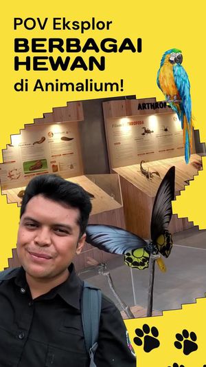 Video Liburan Sambil Belajar Berbagai Hewan di Animalium!