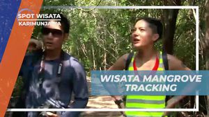 Menjelajahi Hutan Mangrove yang Menyegarkan di Karimunjawa