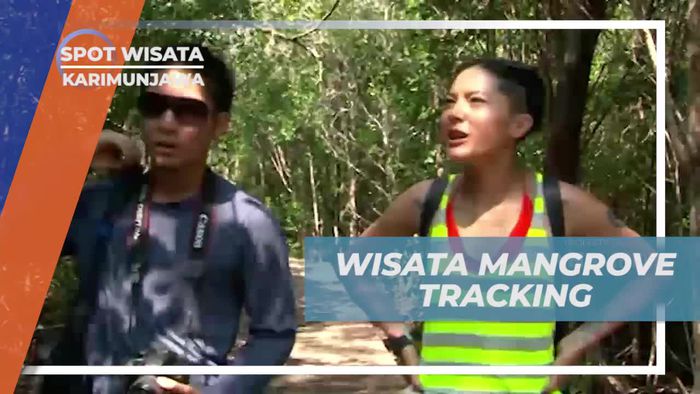 Menjelajahi Hutan Mangrove yang Menyegarkan di Karimunjawa