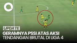 Video: Penendang Kungfu di Liga 4 Dilarang Main Bola Seumur Hidup, Setuju?