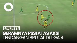 Video: Penendang Kungfu di Liga 4 Dilarang Main Bola Seumur Hidup, Setuju?