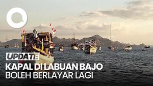 Video Kapal Wisata Boleh Berlayar Lagi di Labuan Bajo, Syaratnya...