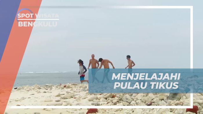 Menelusuri Keindahan Pulau Tikus di Bengkulu  