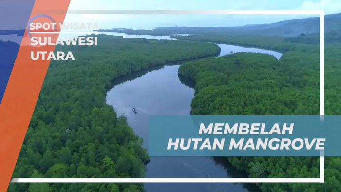 Membelah Hutan Mangrove dan Menikmati Keindahannya di Desa Palaes Sulawesi Utara