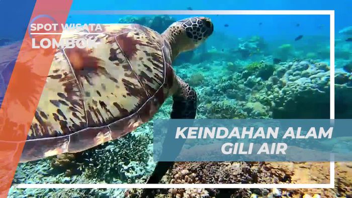 Snorkeling Menikmati Gili Air, Lombok