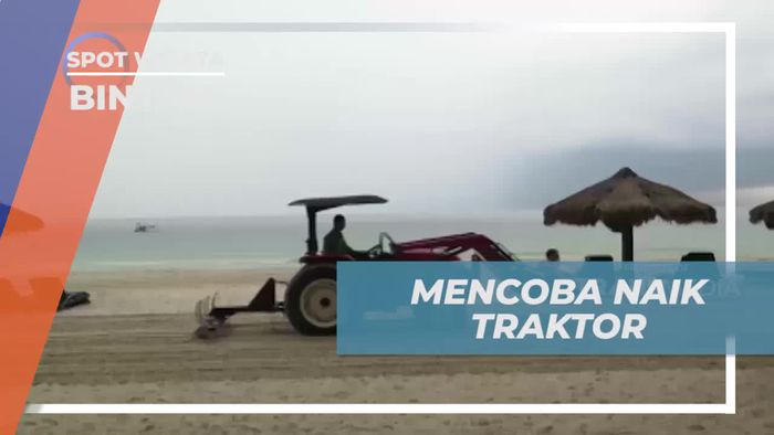 Mencoba Naik Traktor di Pantai Bintan Saat Hujan