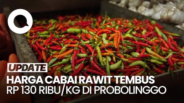 Video: Harga Cabai Rawit Makin Pedas, Tembus Rp 130 Ribu/Kg di Probolinggo