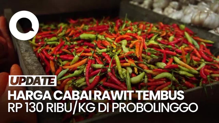 Video: Harga Cabai Rawit Makin Pedas, Tembus Rp 130 Ribu/Kg di Probolinggo