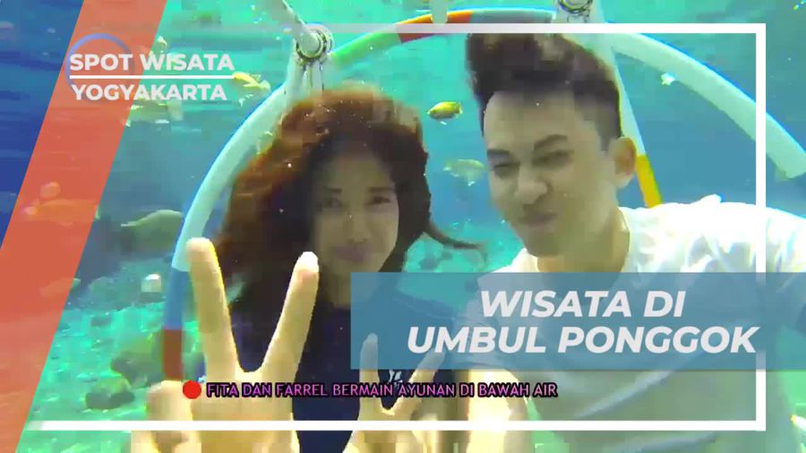 Bermain dan Memberi Makan Ikan di Umbul Ponggok Yogyakarta