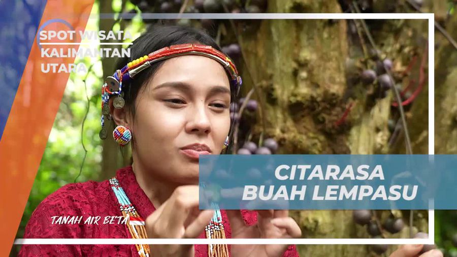 Mencicipi Citarasa Segar Buah Lempasu di Kalimantan Utara