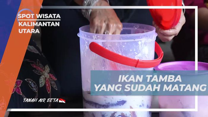 Menikmati Ikan Tamba yang Sudah Matang di Kalimantan Utara