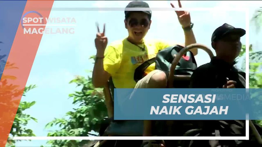 Keliling Borobudur dengan Naik Gajah dan Rasakan Sensasi Seru di Magelang, Jawa Tengah  